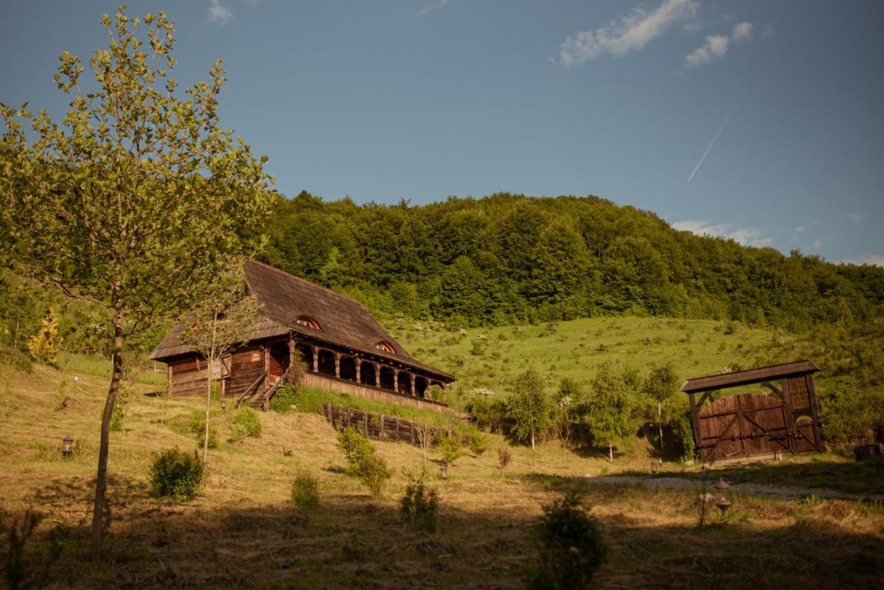 Raven'S Nest - The Hidden Village, Transylvania - Romania Sub Piatra Esterno foto