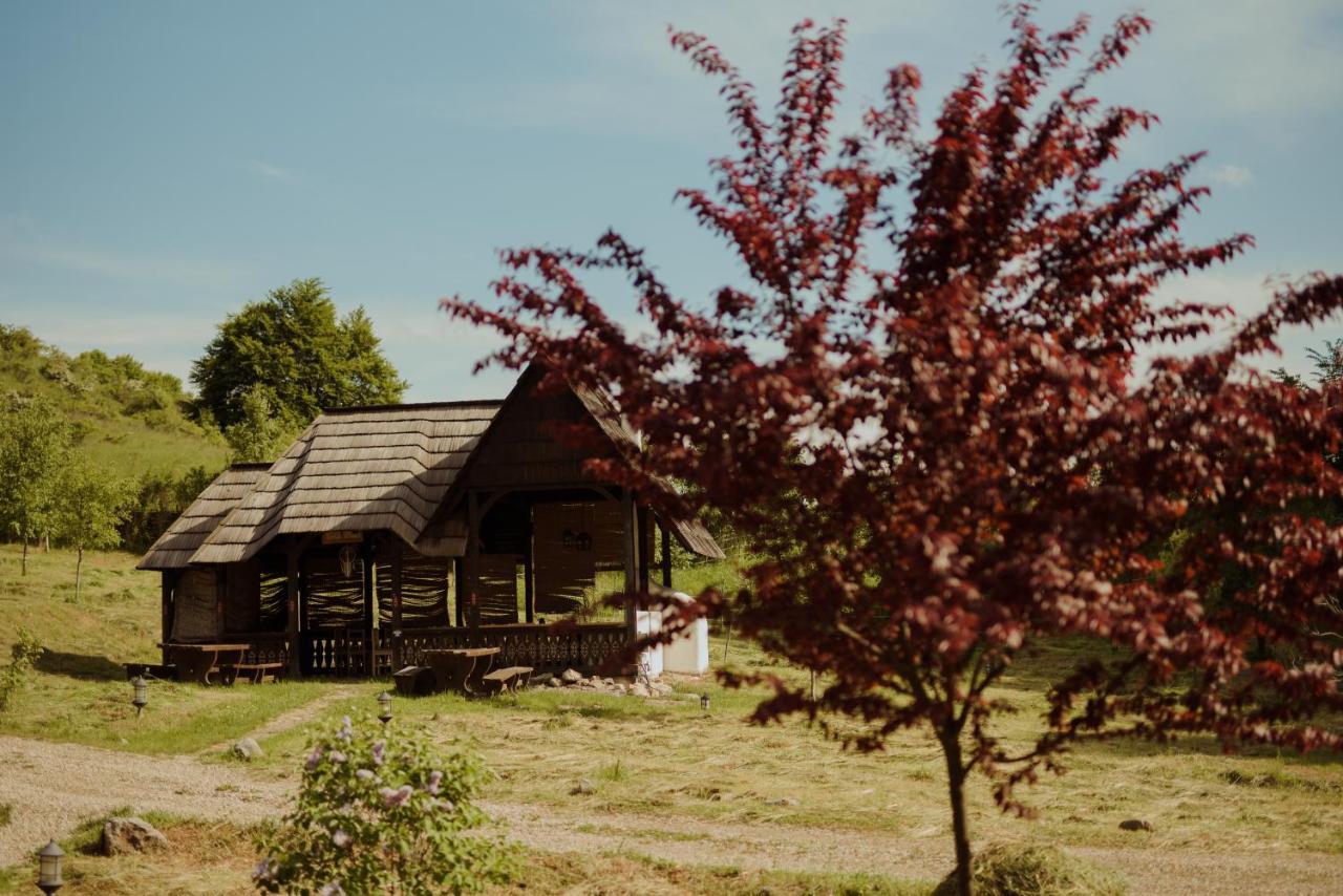 Raven'S Nest - The Hidden Village, Transylvania - Romania Sub Piatra Esterno foto