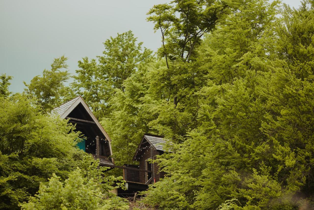 Raven'S Nest - The Hidden Village, Transylvania - Romania Sub Piatra Esterno foto